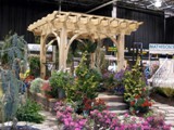 pergola1