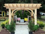 pergola16