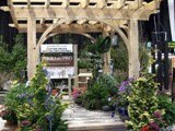 pergola3