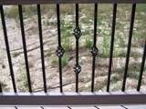 deck-railing-2